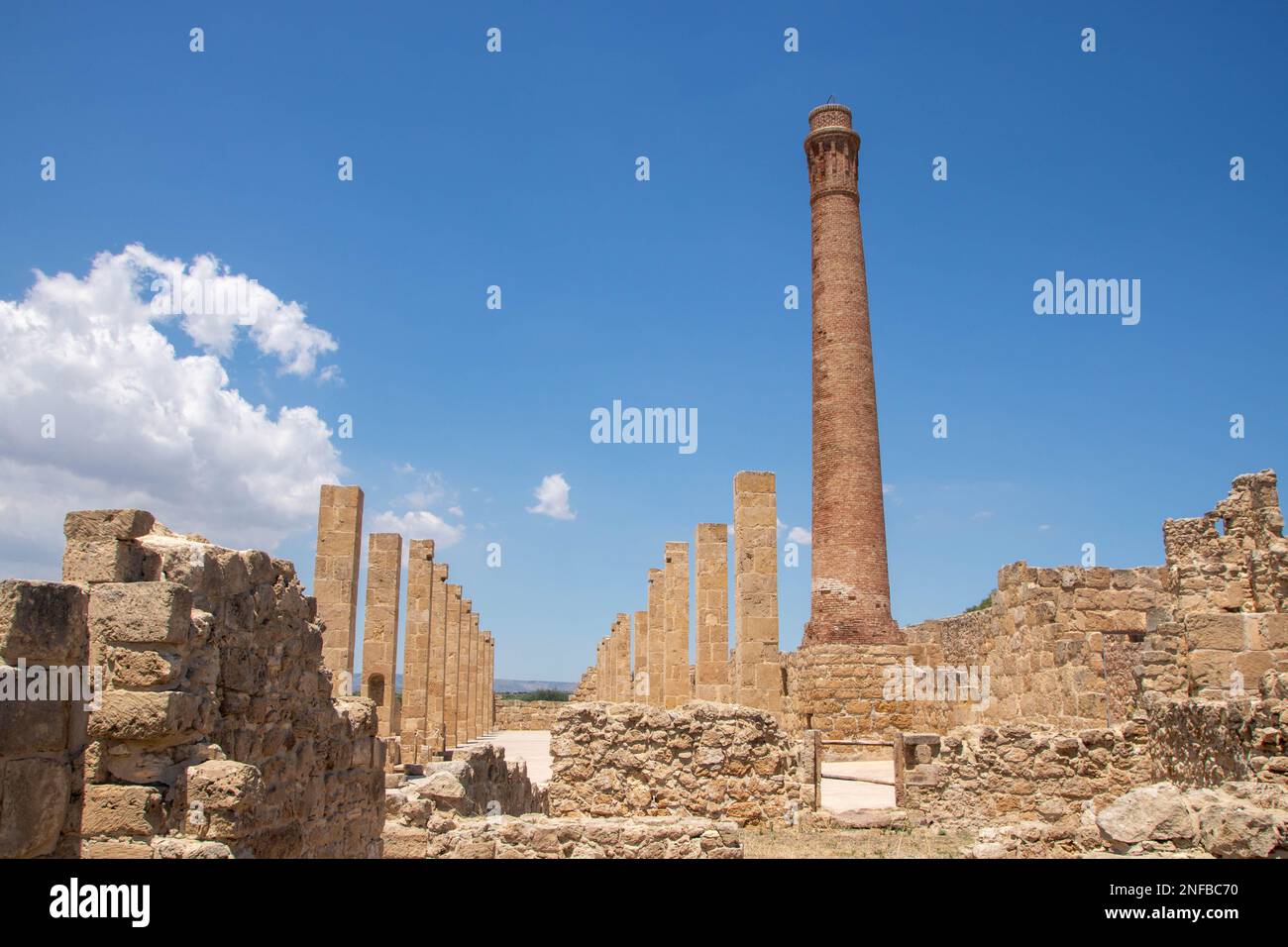 Ancient Greek city of Eloro in Vendicari Nature Reserve wildlife oasis ...