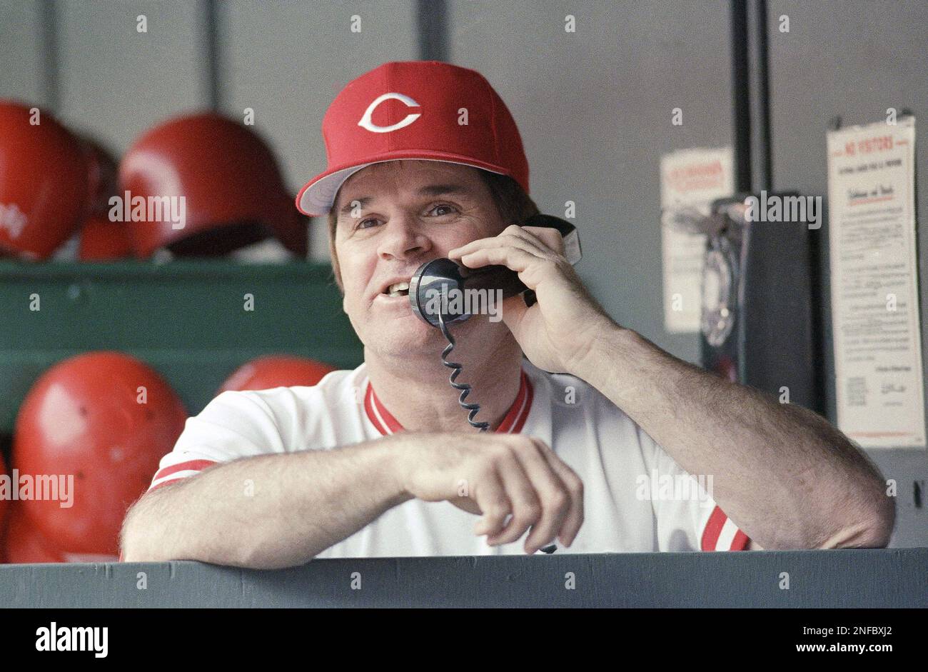 Red Roses Manager Cincinnati Reds manager Pete Rose talks on the phone inside the dugout ...