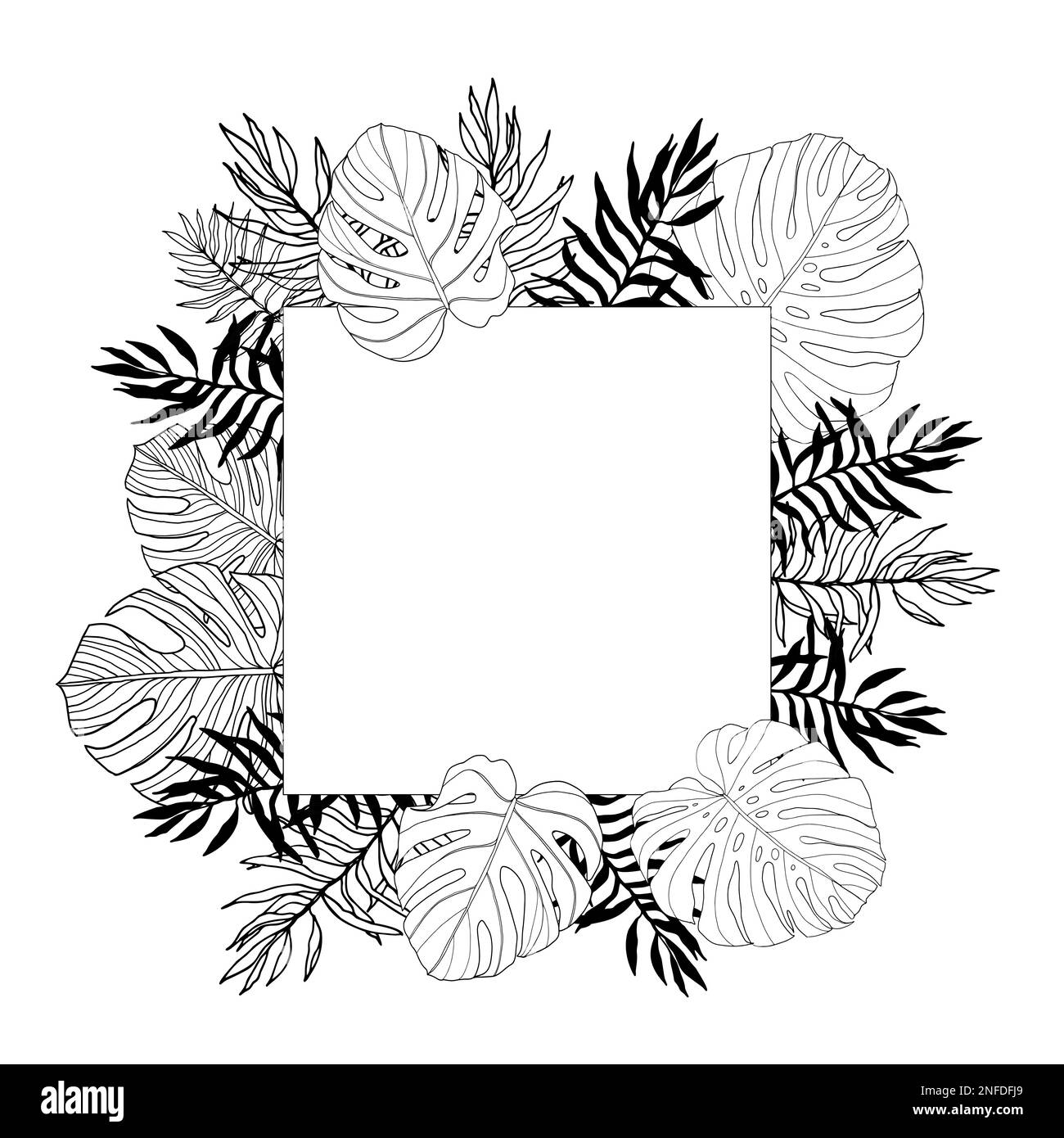Leaf Border Black And White