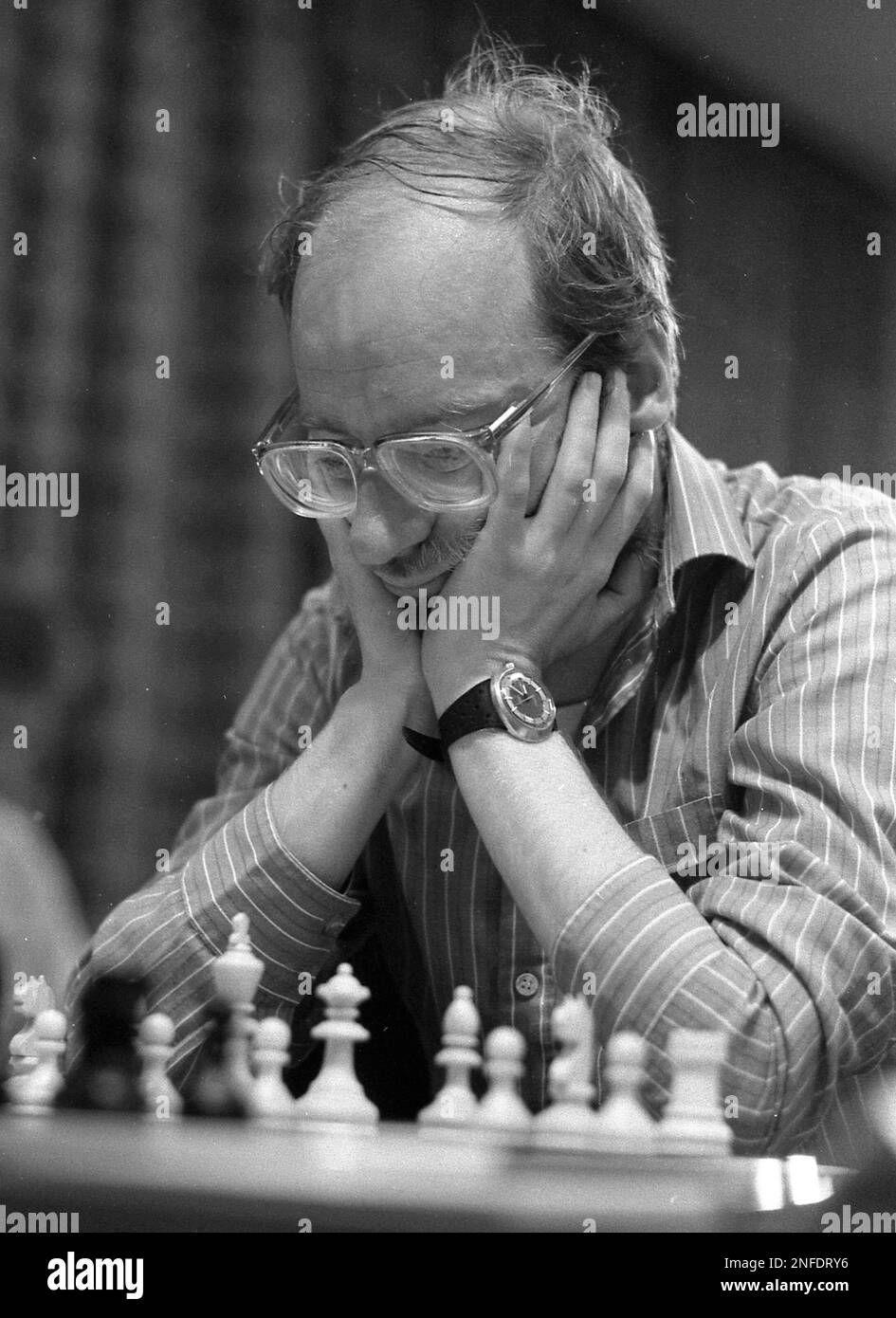 ChessBase MonoGraph Robert Huebner World Champion Wissen 1st Matt