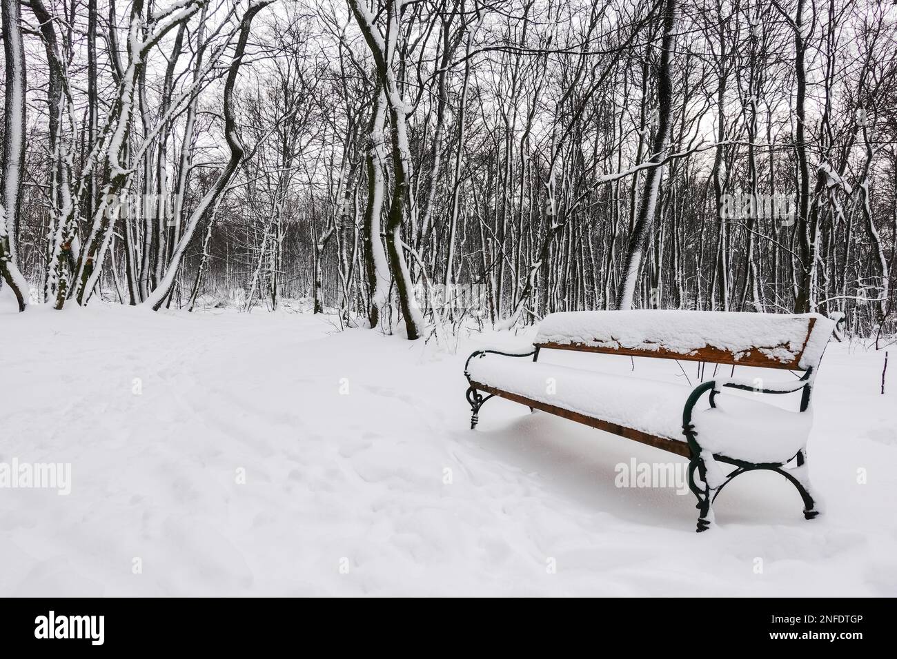 park bench with lot of snow during hiking in the winter forest Stock ...