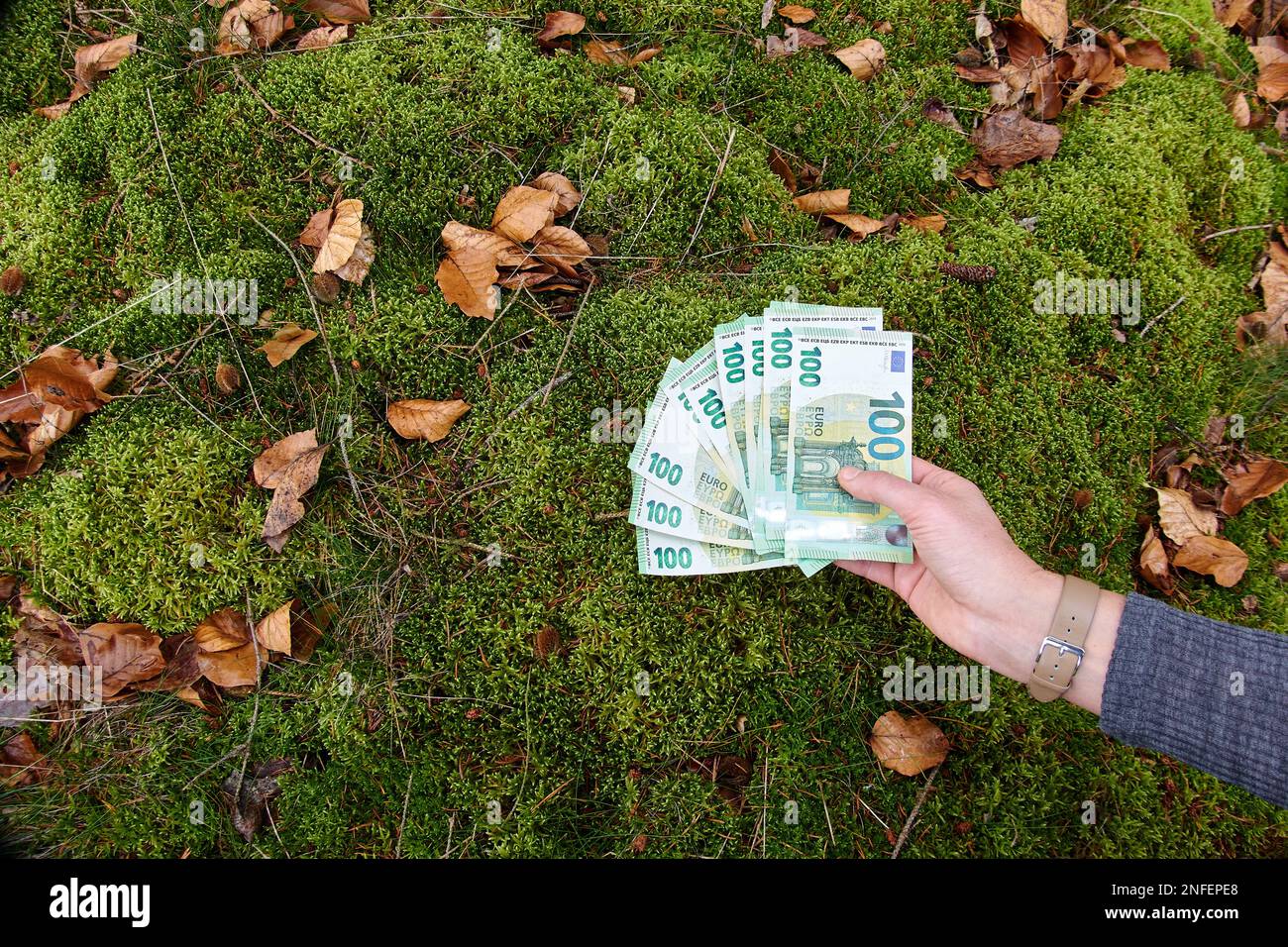 100 euro bills lie on moss in the forest on Feb 12, 2023 in Pfaffenhofen a.d.Ilm, Bavaria, Germany. © Peter Schatz / Alamy Live News Stock Photo