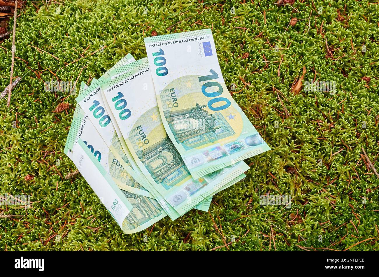 100 euro bills lie on moss in the forest on Feb 12, 2023 in Pfaffenhofen a.d.Ilm, Bavaria, Germany. © Peter Schatz / Alamy Live News Stock Photo