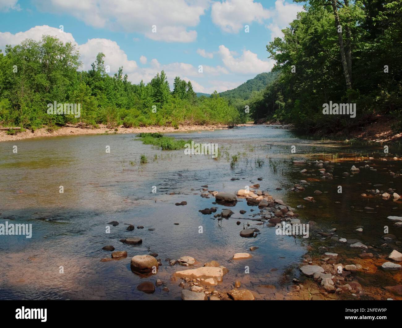 A tranquil scene of a small river winding its way through a lush wooded ...