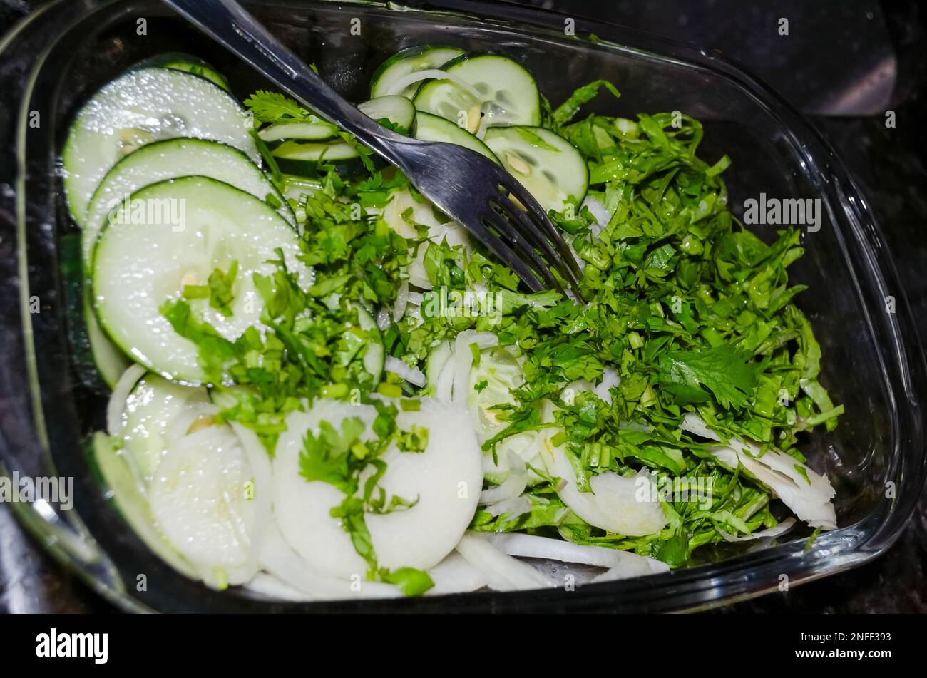 Closeup picture of green salad with cucumber, cilantro and onion