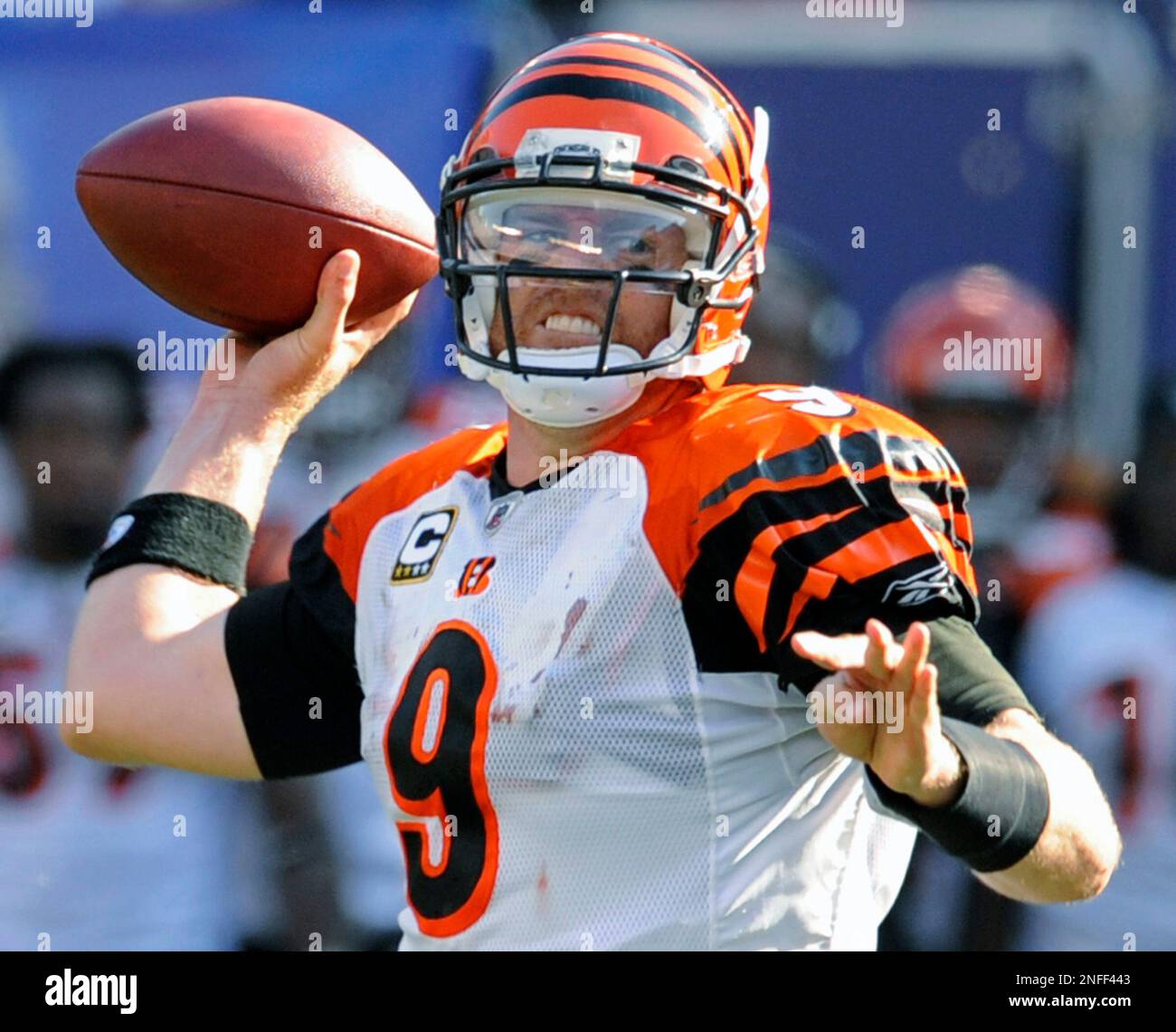 Cincinnati Bengals Quarterback Carson Palmer Looks For A Receiver ...