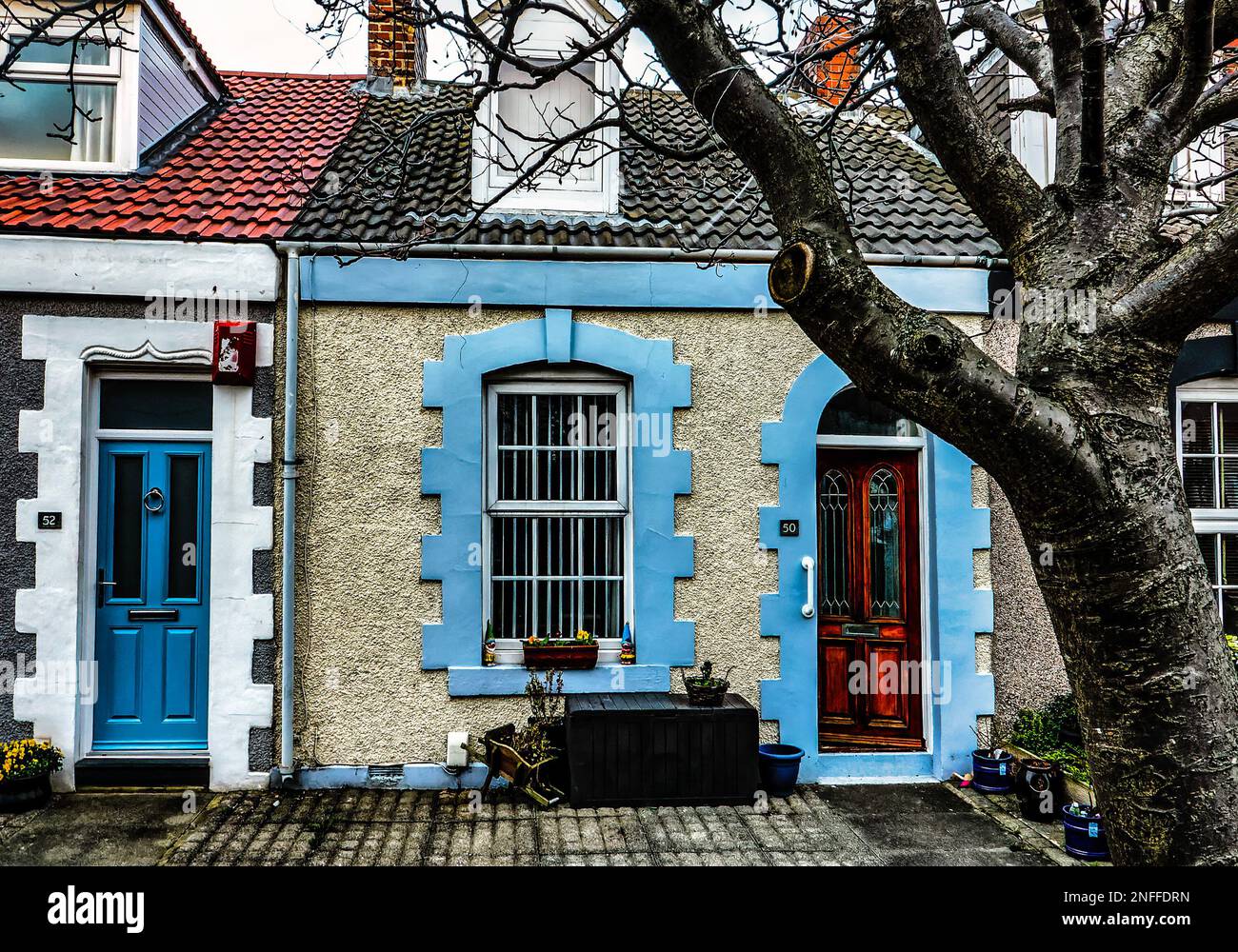 Simpson Street homes in Cullercoats Stock Photo Alamy
