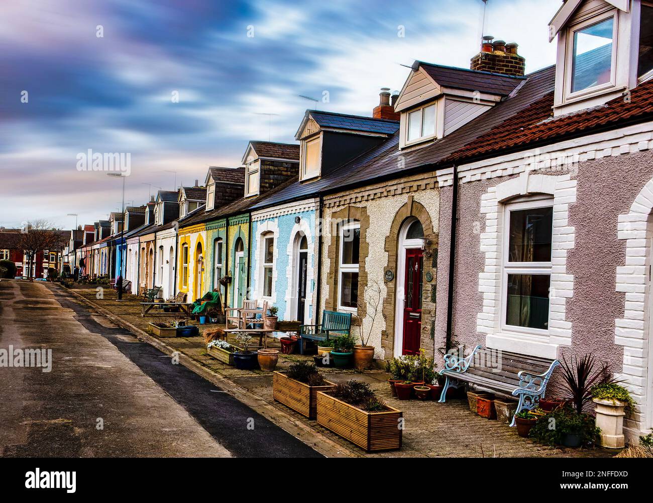 Simpson Street homes in Cullercoats Stock Photo Alamy