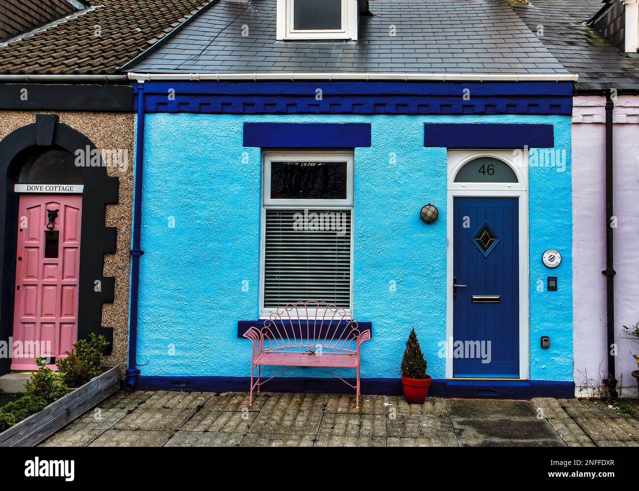 Simpson Street homes in Cullercoats Stock Photo Alamy