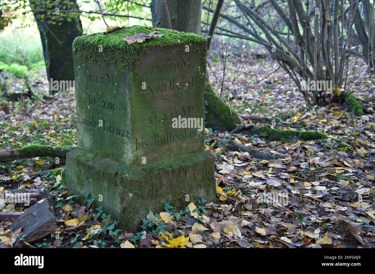 Close-up of the old Rhine measurment stone Myriameterstein in the alluvial forest near Hagenbach Stock Photo