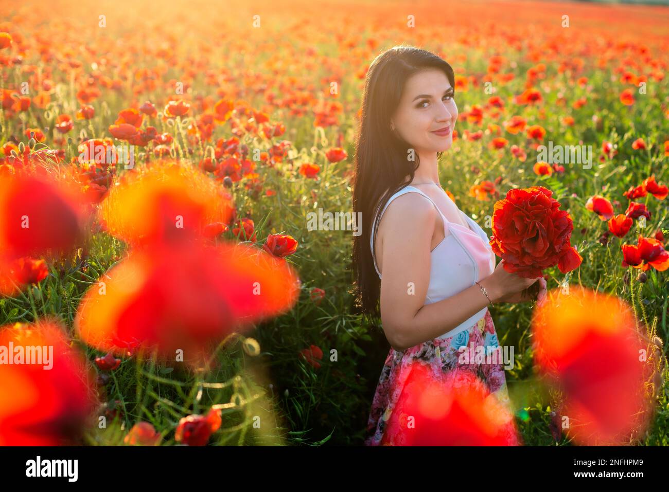 beautiful girl in a poppy field at sunset Stock Photo - Alamy