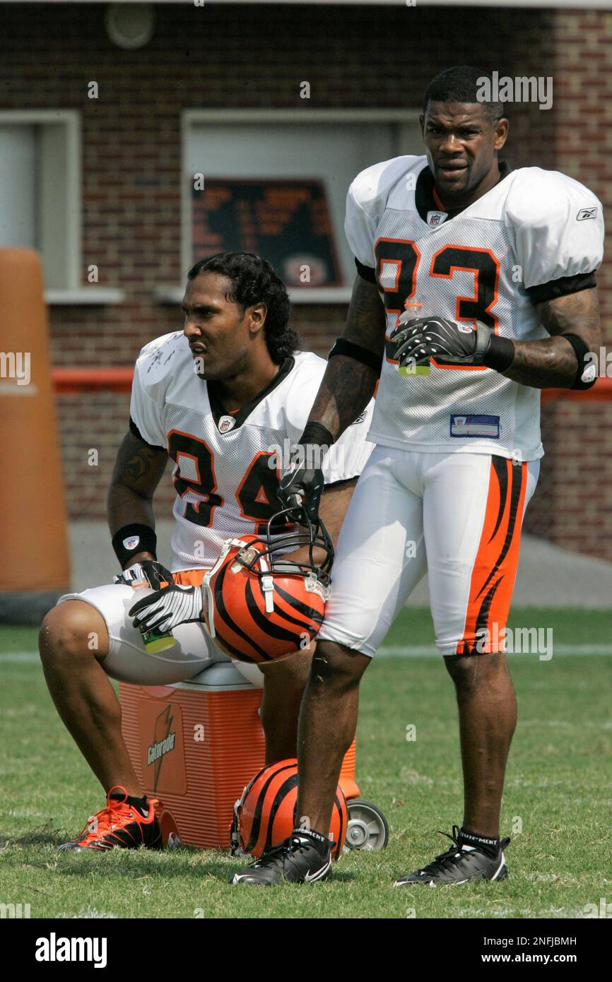 Cincinnati Bengals receiver T.J. Houshmandzadeh (84) with receiver