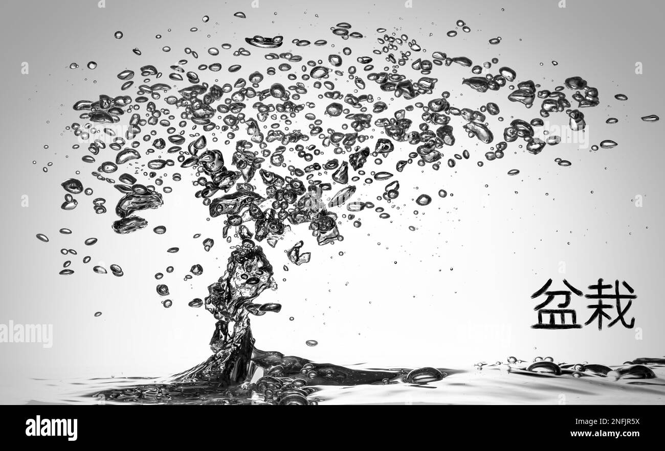 Bubbles of water that create a Bonsai plant concept - black and white version Stock Photo