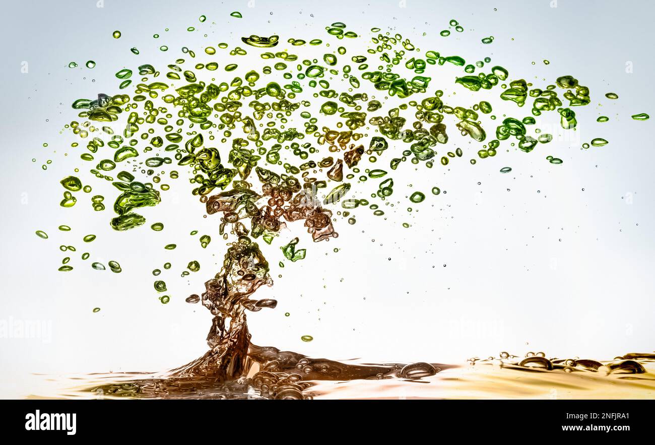 Bubbles on water that create a Bonsai plant concept colored version