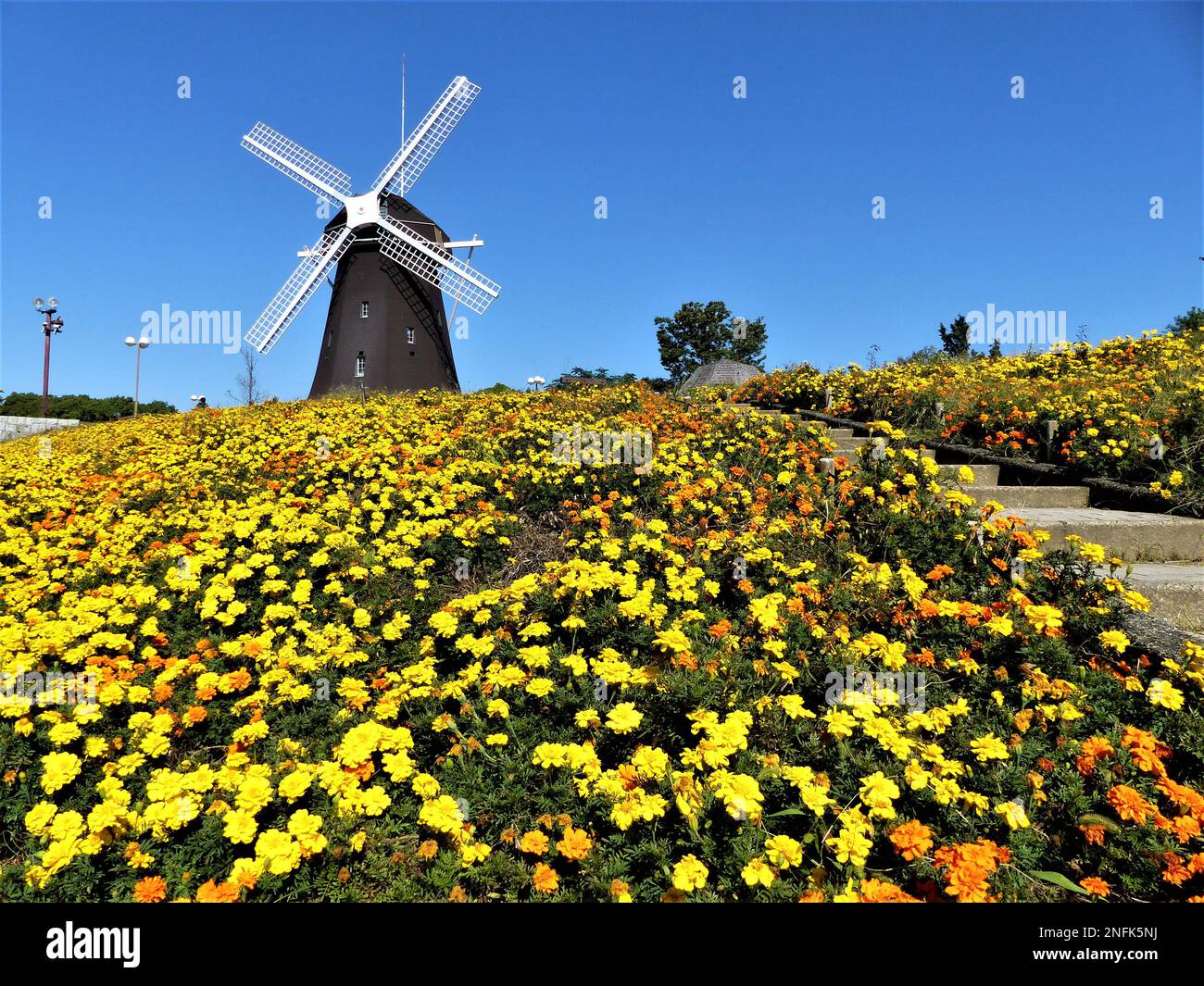 traditional windmill in Osaka Japan Stock Photo Alamy