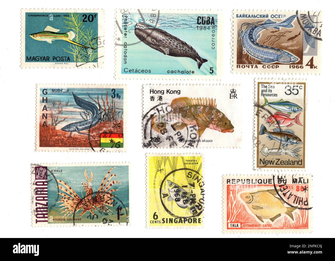 Vintage postage stamps from around the world featuring fish Stock Photo