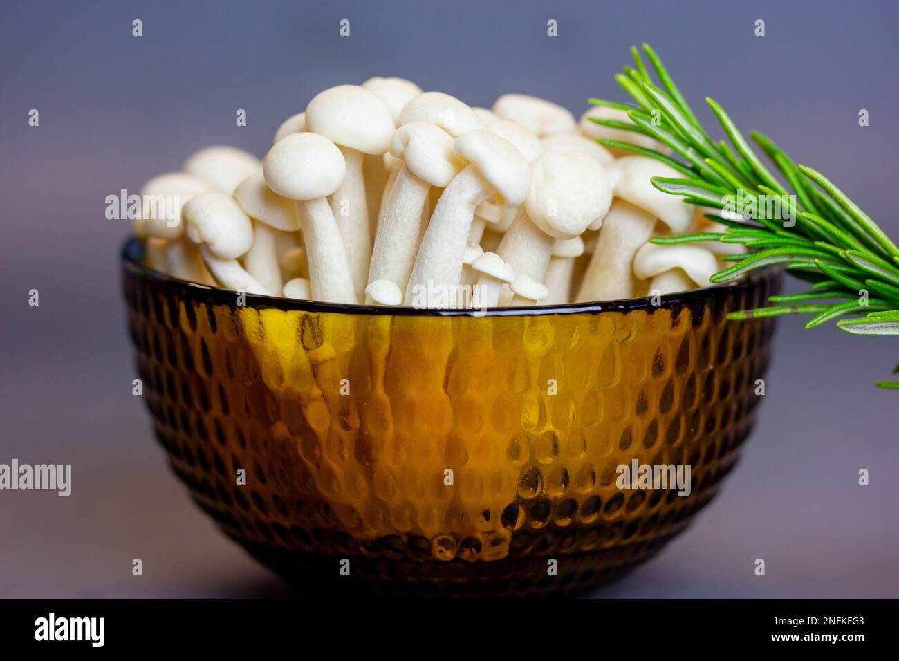 SHITAKE, SHIMEJI E CHAMPIGNON – VegMag