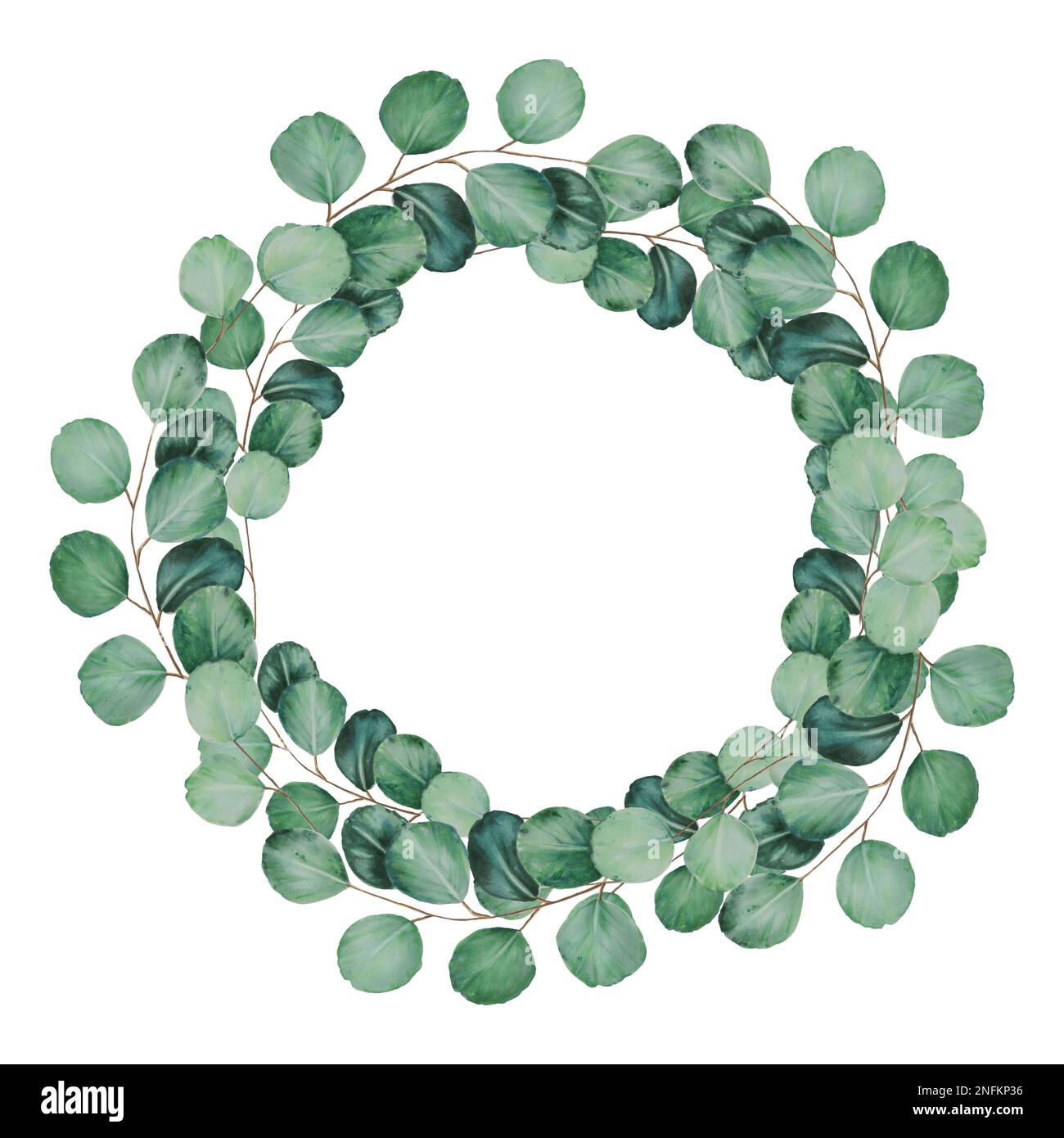 Eucalyptus watercolor frame. Hand painting clipart wreath on an ...