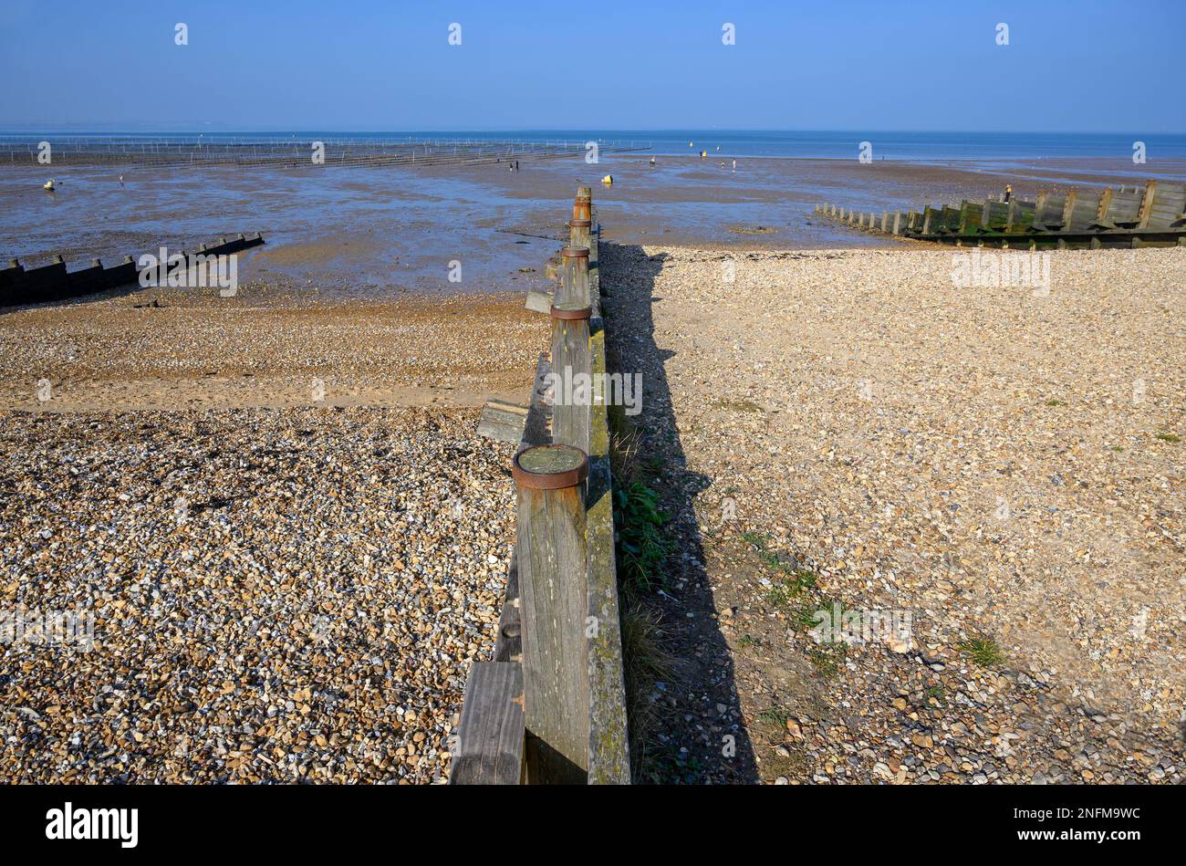 Whitstable, Kent, England, UK. Groyne on the beach - wooden structure leading down the beach at right angles to the sea to stop the movement of theshi Stock Photo