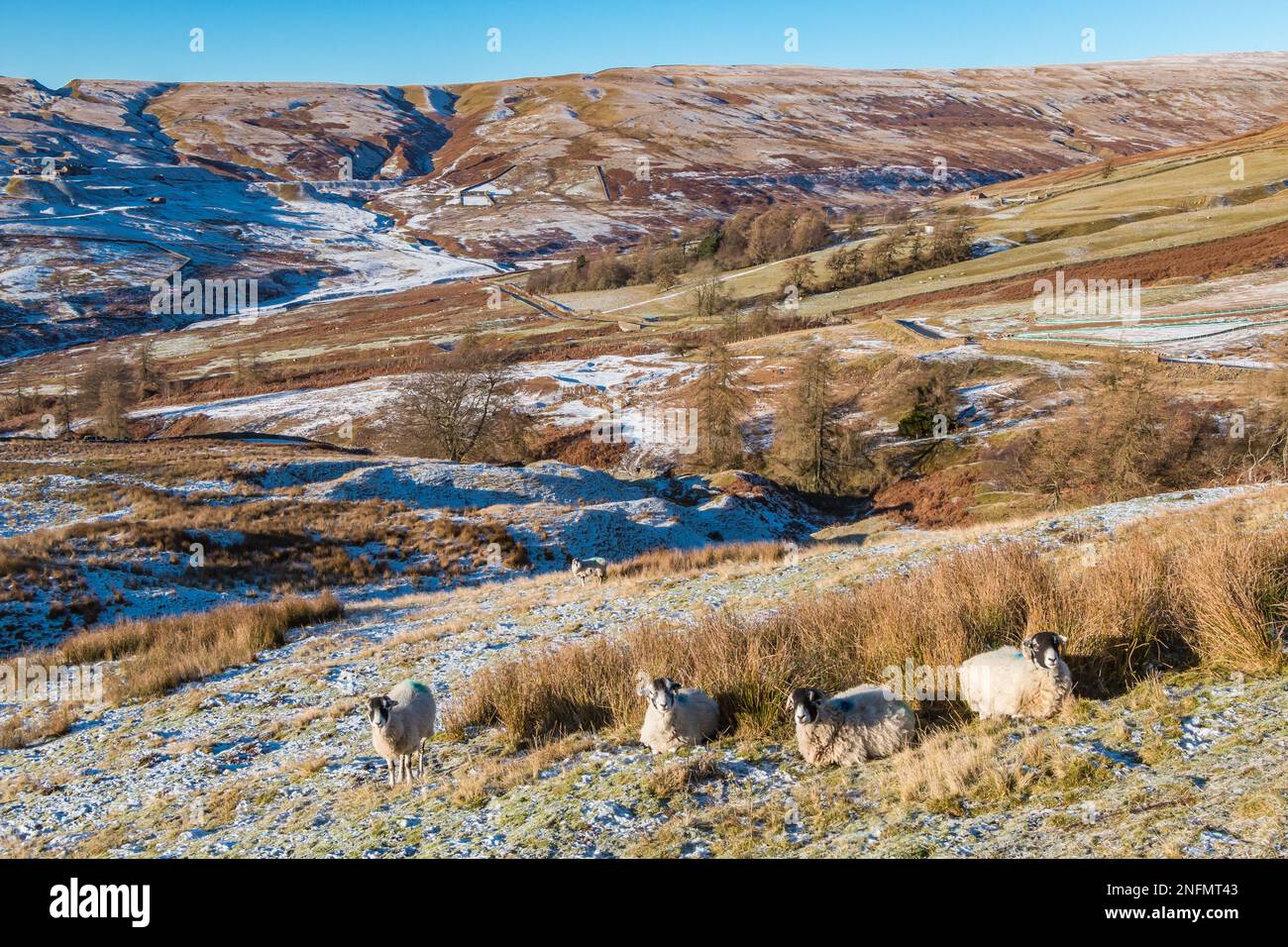 The disused Coldberry lead mine, Hudes Hope, Teesdale in cold frosty conditions Stock Photo