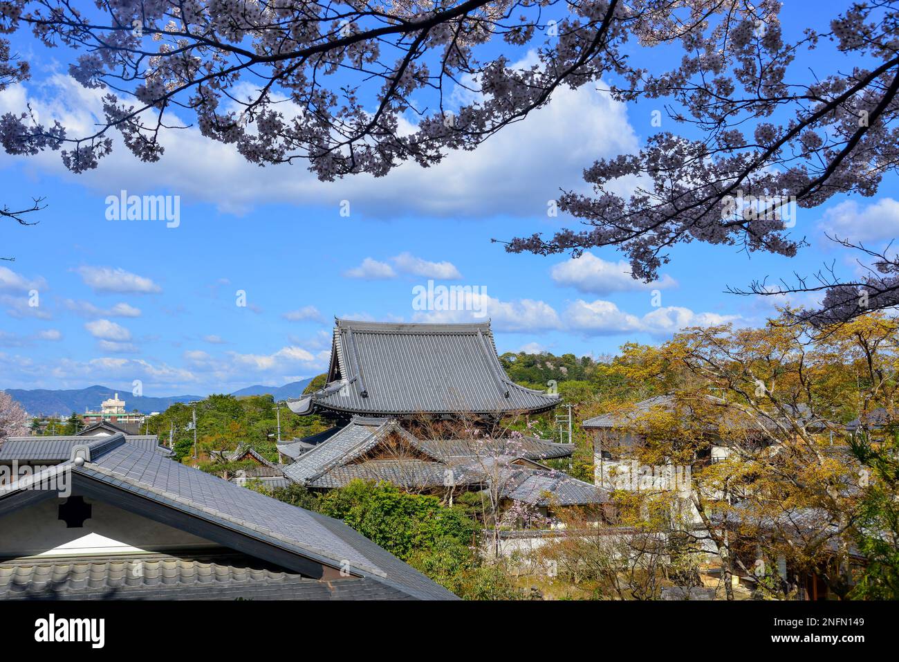 Ancient temple with cherry flowers in Kyoto, Japan. Annual cherry