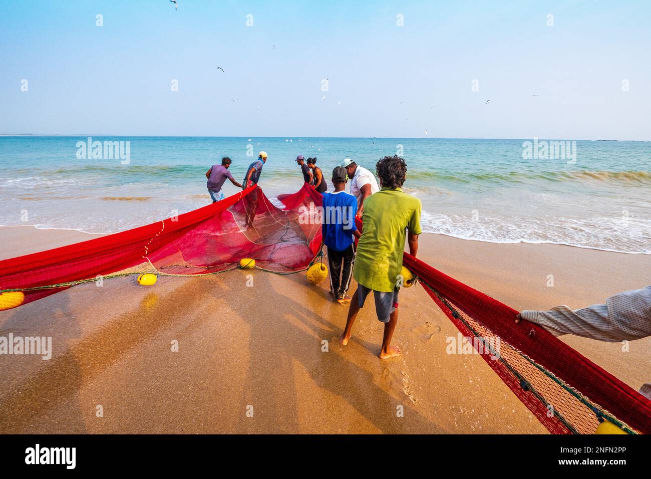 Fishermen hauling in a net on the beach at Tangalle on the south coast of Sri Lanka Stock Photo