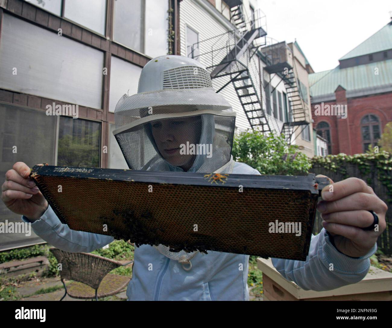 Cindy Barclay works with her beehive in her yard in Albany, N.Y