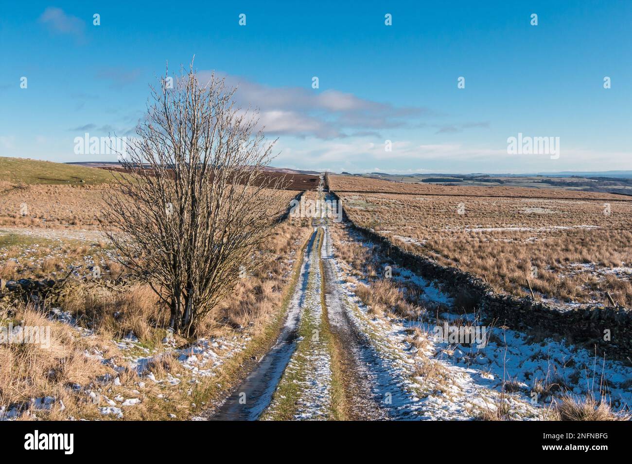 A cold and crisp Botany Road, also known as the 'Donkey Track', looking east towards Bail Hill. Stock Photo