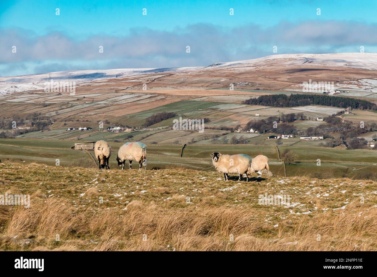 Looking across Teesdale to Middle Side from the road to Grassholme and Kelton Stock Photo
