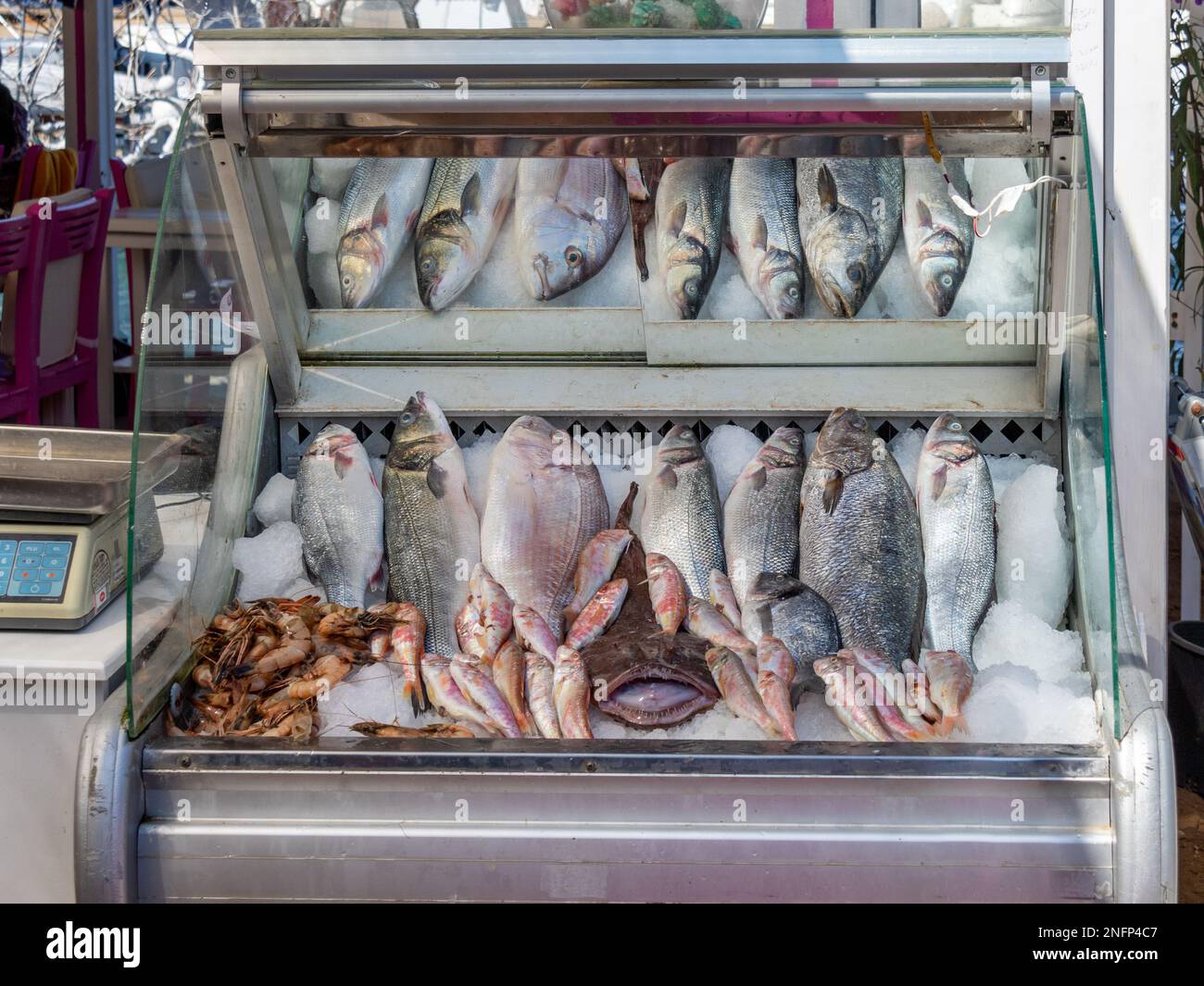 fish on ice in display cabinetGumusluk Stock Photo