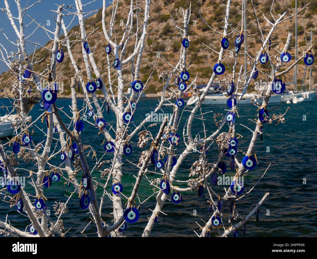 decorated trees in sea at Gumusluk, Turkey Stock Photo