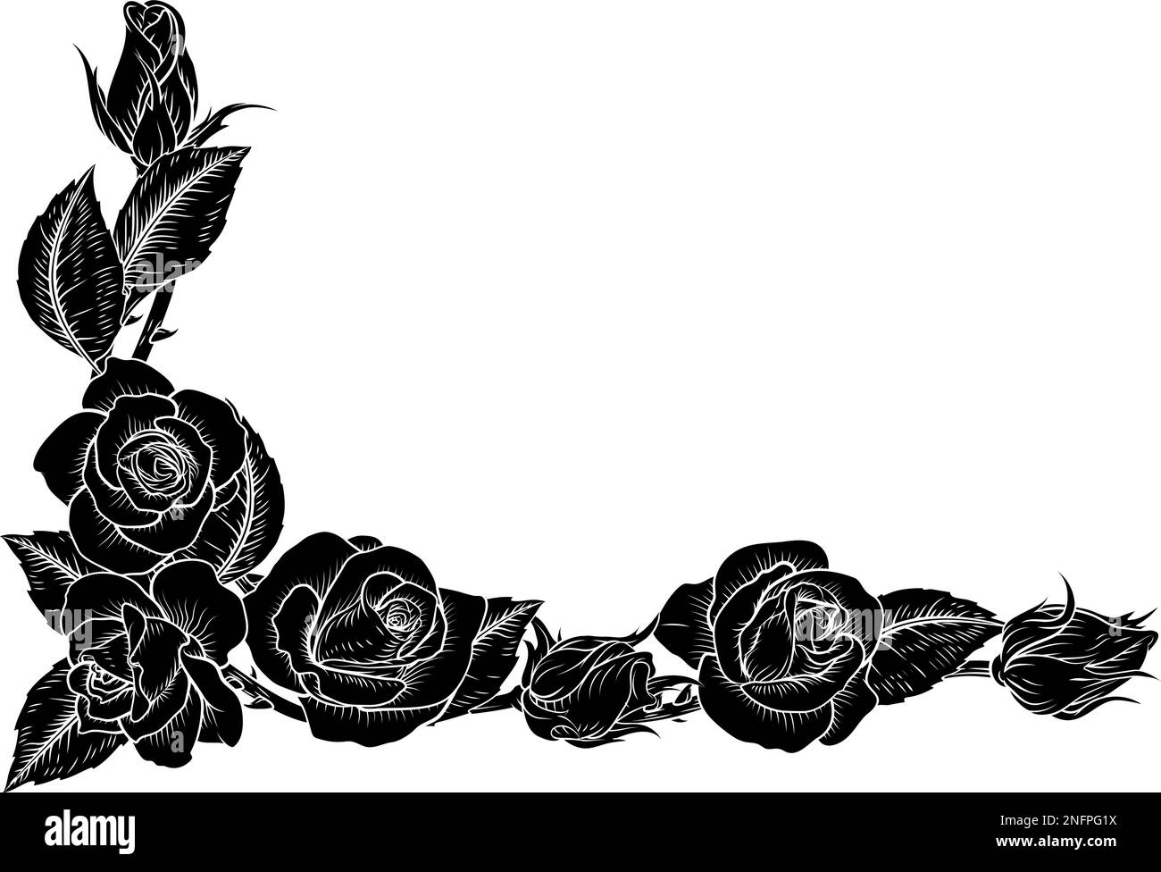 Roses Woodcut Vintage Style Flower Corner Design Stock Vector Image