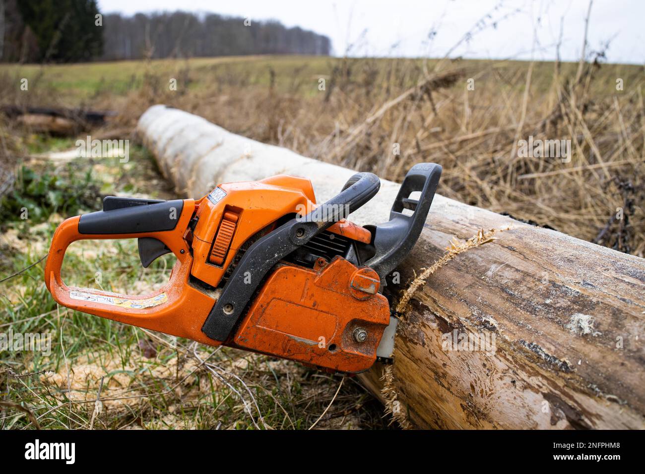 Chainsaw cutting firewood Stock Photo Alamy