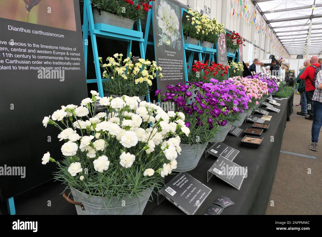 BBC gardens, Birmingham, UK, Calamazag Plant Nursery Stock Photo Alamy