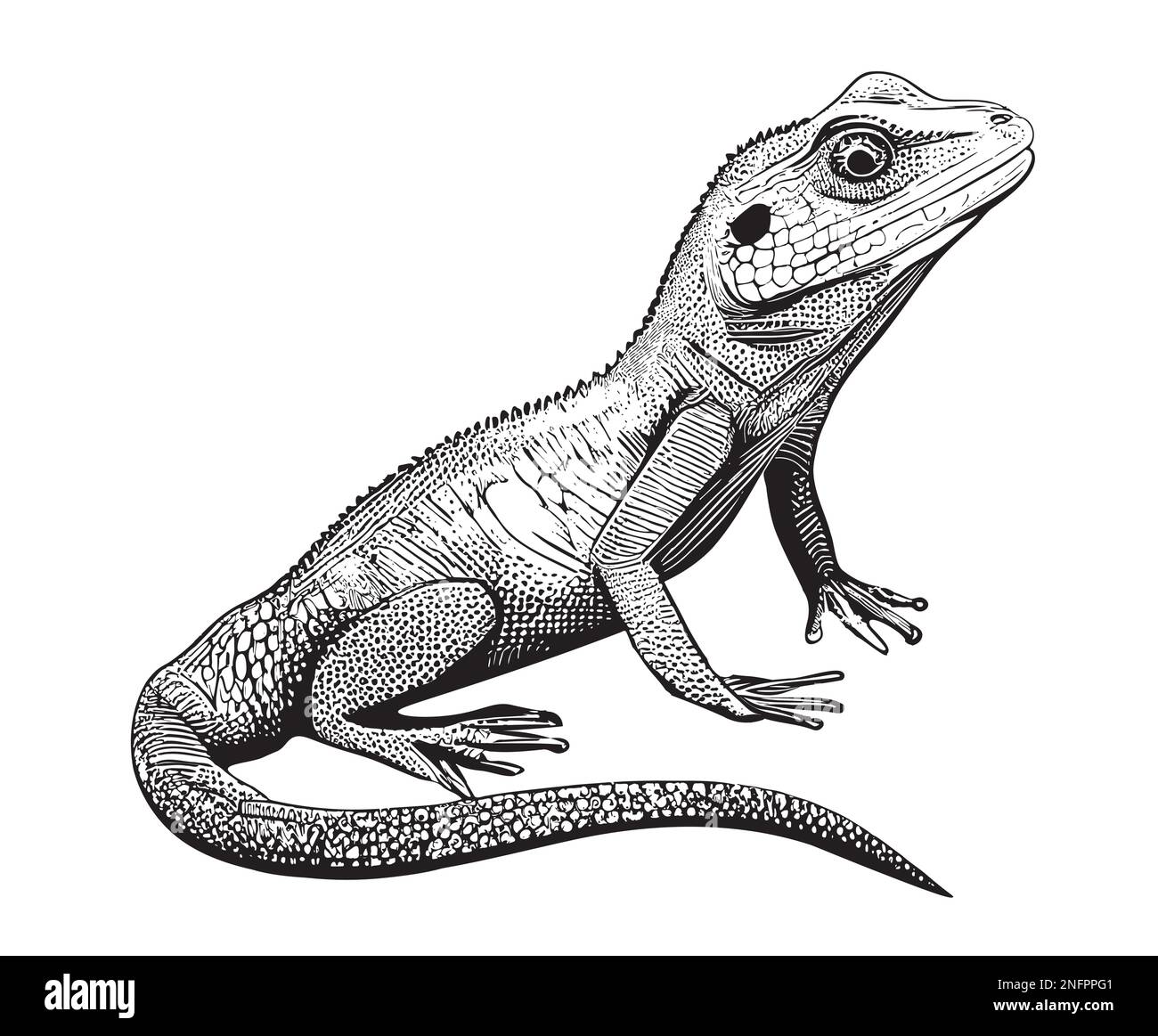 Lizard hand drawn sketch Vector illustration Animal Reptile Stock Vector