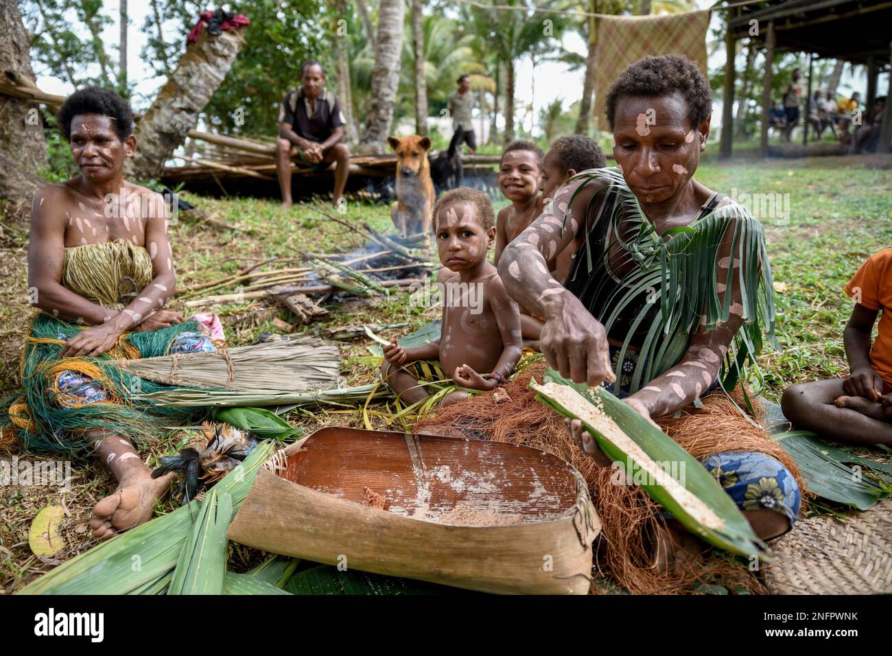 Local woman preparing banana leaves with roasted marrow of the Sago palm, village Pangoa, island Pangoa, Lake Murray, Western Province, Papua New Stock Photo