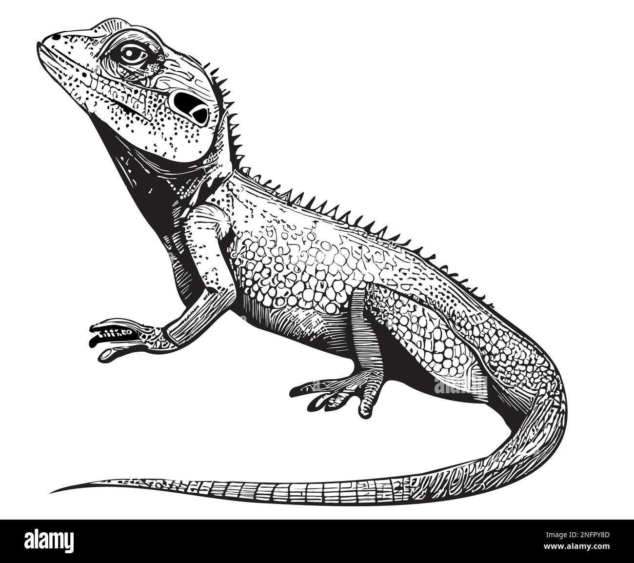 Sitting lizard hand drawn sketch Vector illustration Animals Reptiles Stock Vector