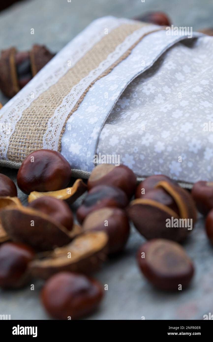 Kastanienkissen, Kastanien-Kissen, Wärmekissen, Wärme-Kissen, Kastanien werden in einen Kissenbezug gefüllt, können dann im Ofen erwärmt und als Wärme Stock Photo