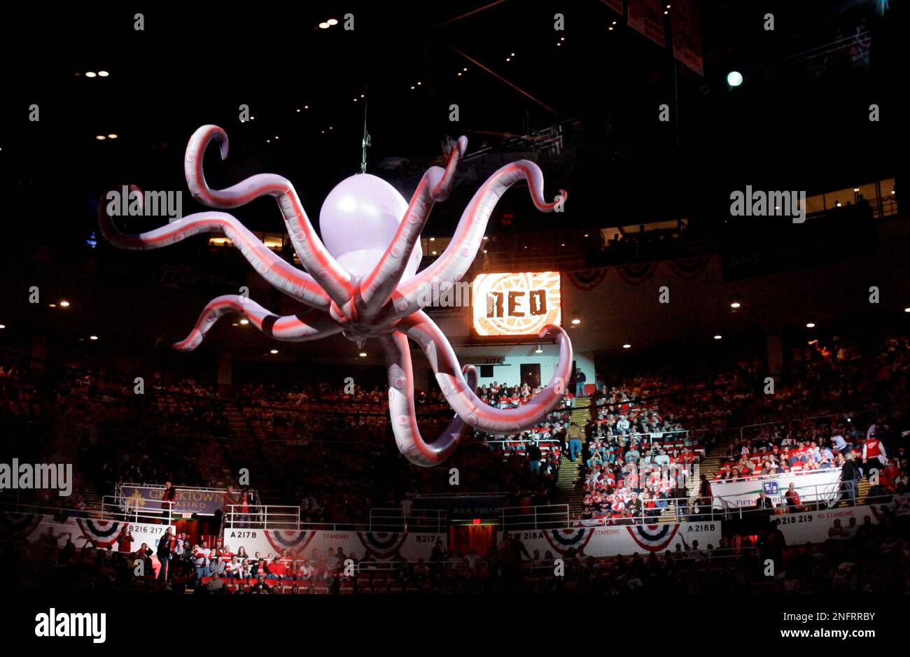 Detroit red wings octopus hi-res stock photography and images - Alamy