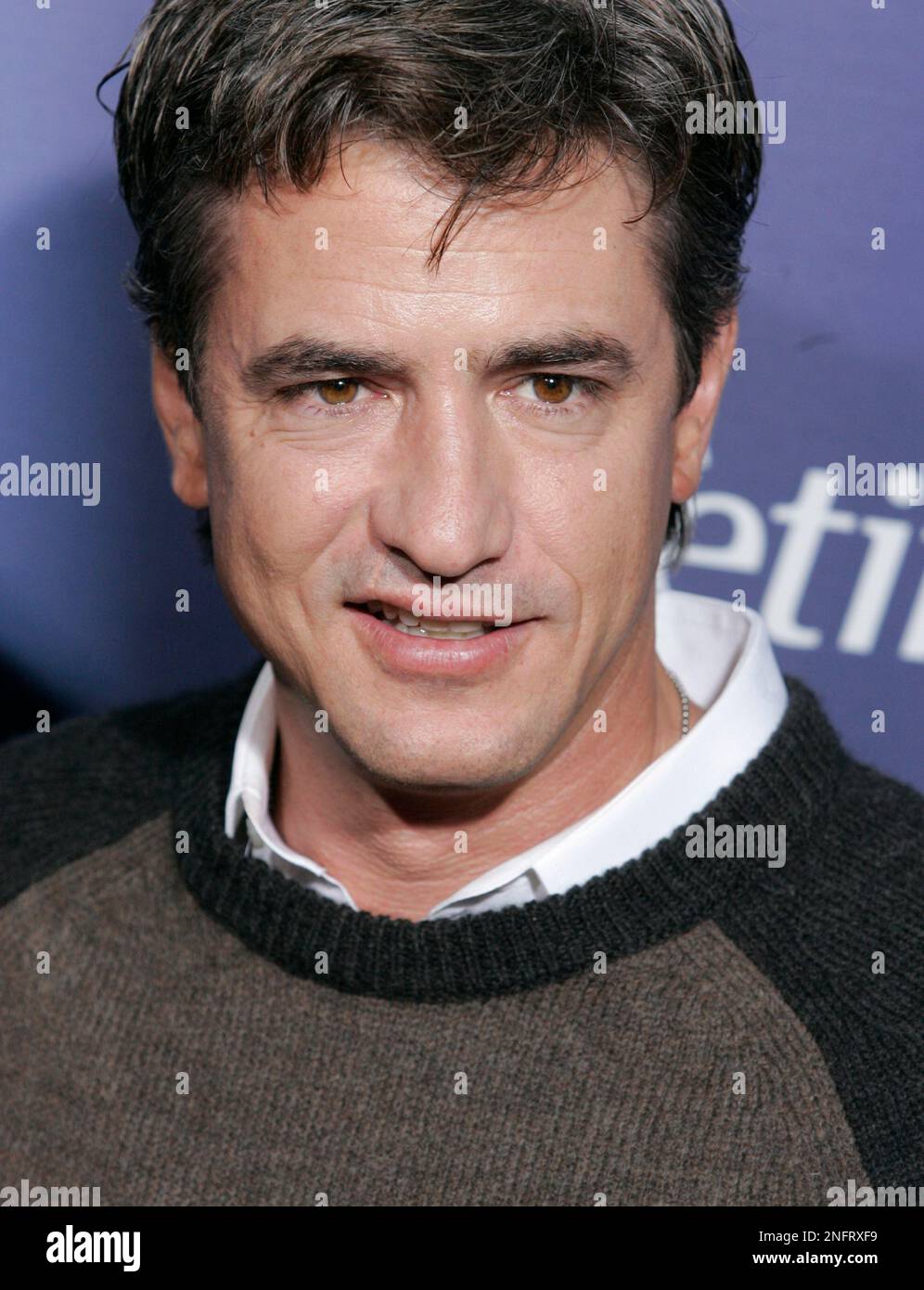 Actor Dermot Mulroney poses on the press line at the premiere of "The