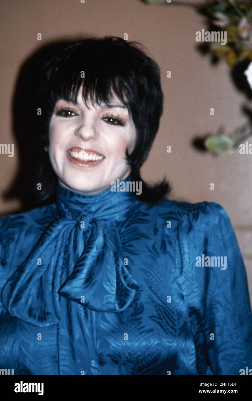Actress Liza Minnelli, shown in London, May 1983. (AP Photo Stock Photo