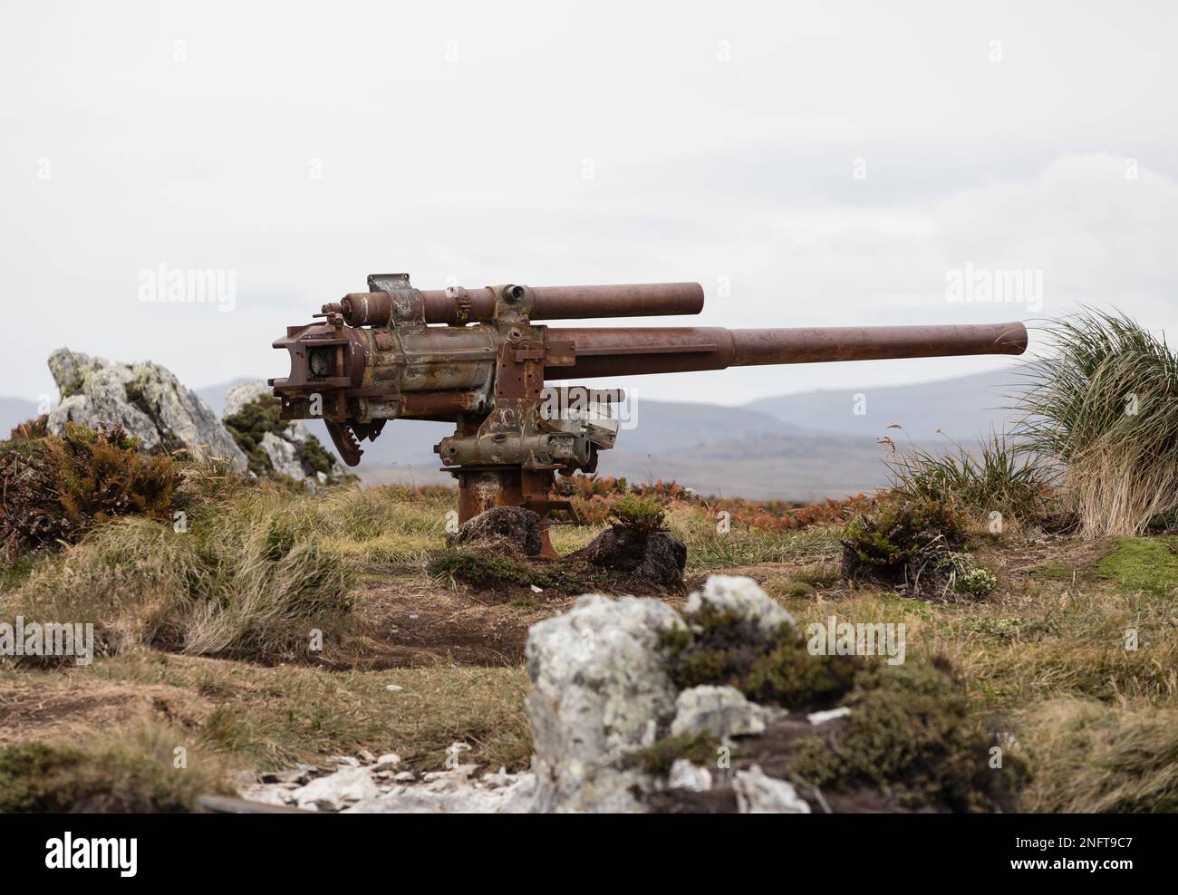 World War 2 gun in Port Stanley on the Falkland Islands, Ordnace Point Stock Photo Alamy