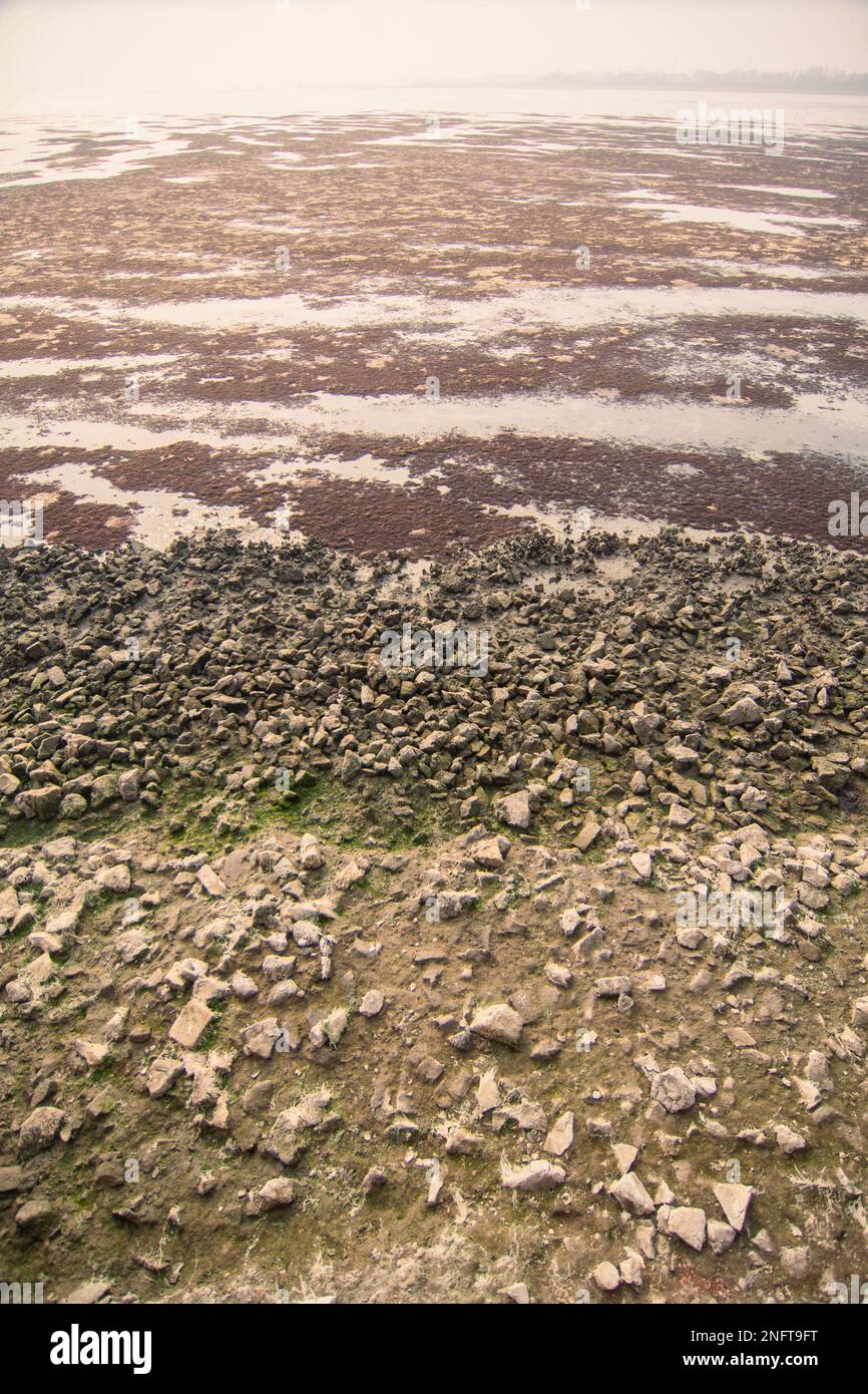 Venice Italy 17th Feb 2023 VENICE ITALY FEBRUARY 17 The Low venice-italy-17th-feb-2023-venice-italy-february-17-the-low