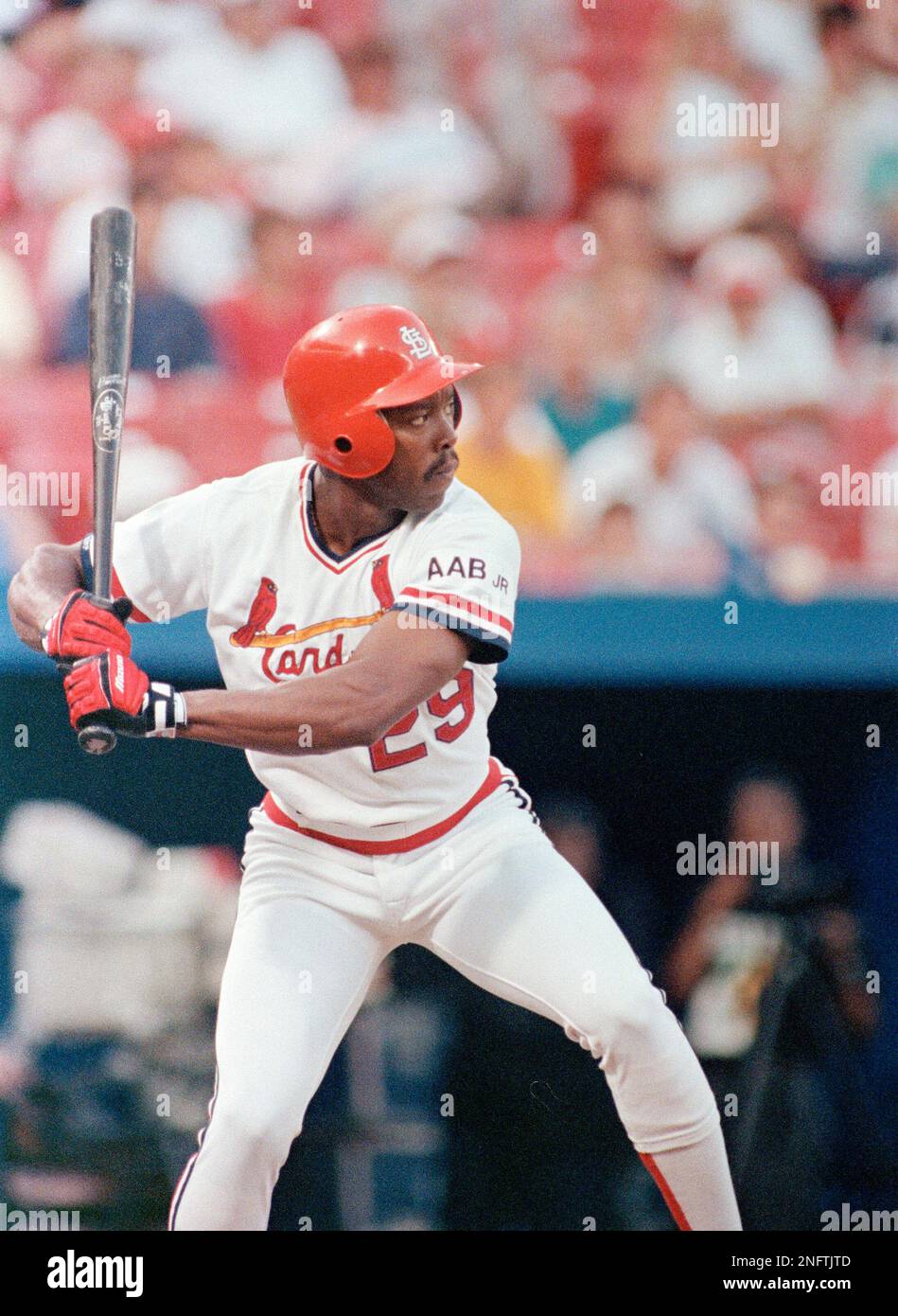 Vince Coleman of the St. Louis Cardinals writhes in pain after a