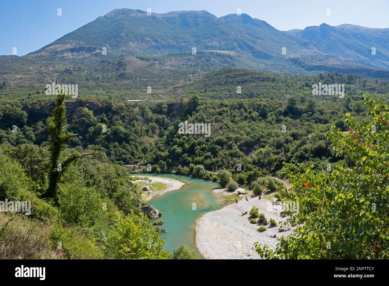 Drino / Drinos River, tributary of the Vjosë running through afforested valley, Lumi Drino in southern Albania Stock Photo