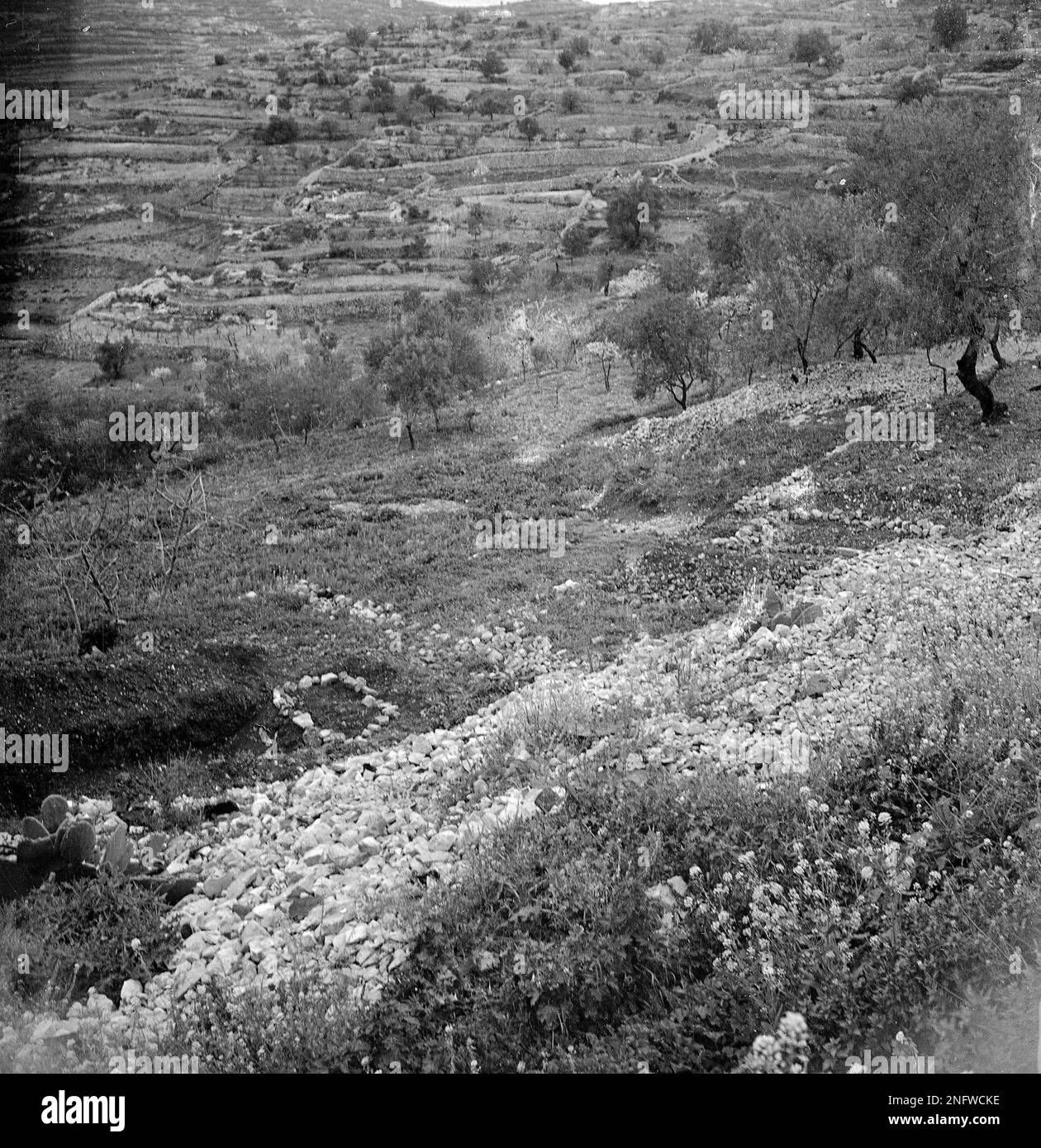 This is a mass grave used to bury 104 victims of the Deir Yassin massacre, April 1948. The round stone ring is a mass grave filled with female victims, and the square is a common grave for the men. (AP Photo) Stock Photo