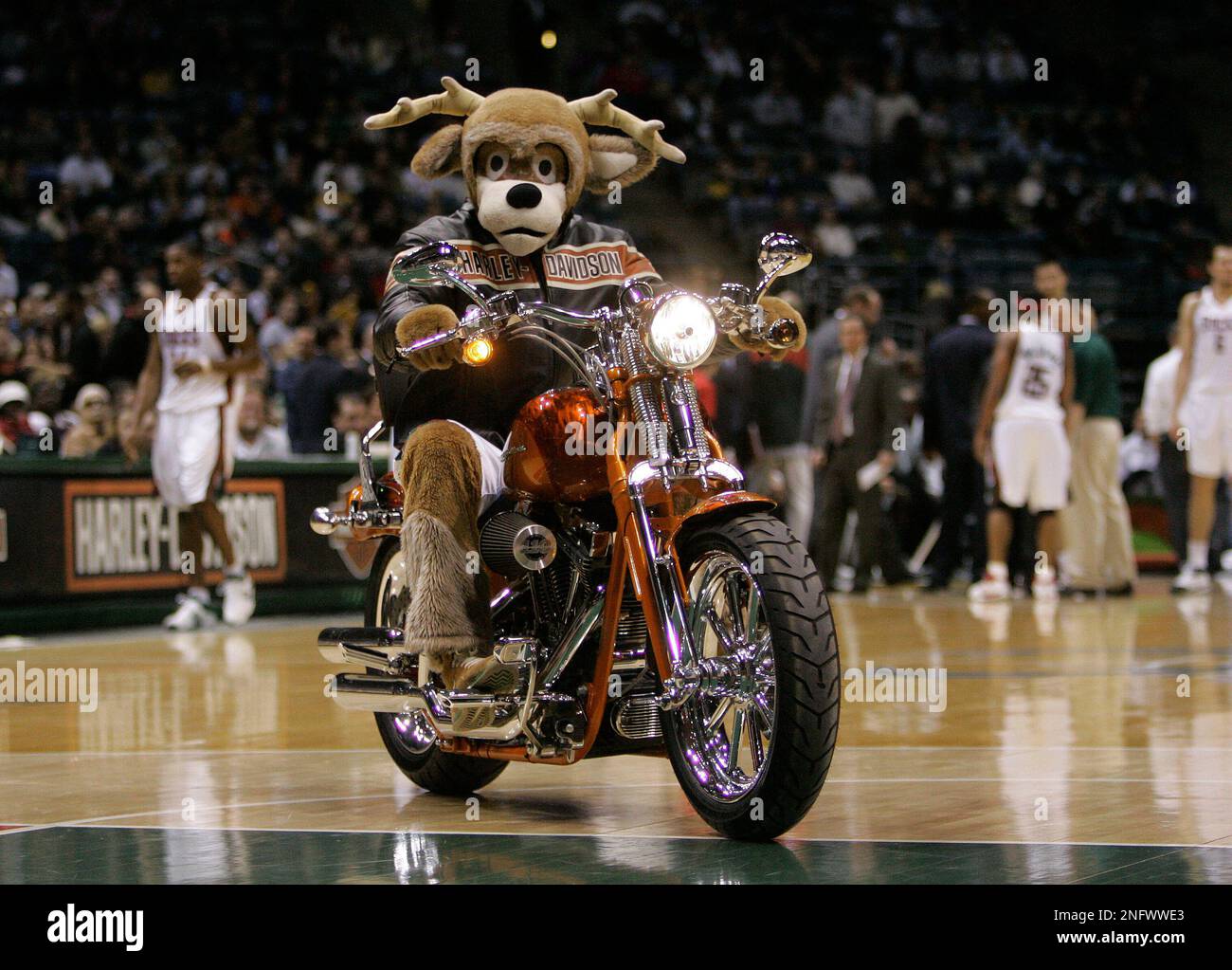 Nba harley on sale davidson