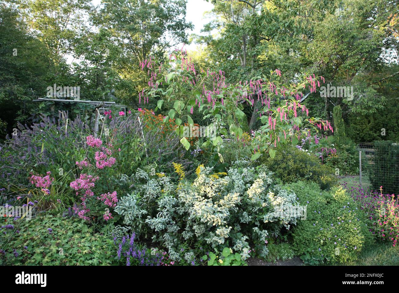 Willowwood Cottage Garden.  Arrangements of flowering plants with grass pathways with background arbor Stock Photo