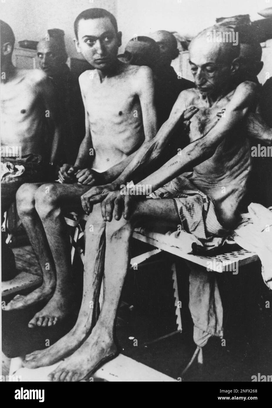 Muselmanner Malnourished Auschwitz prisoners are pictured shortly after the Nazi ...