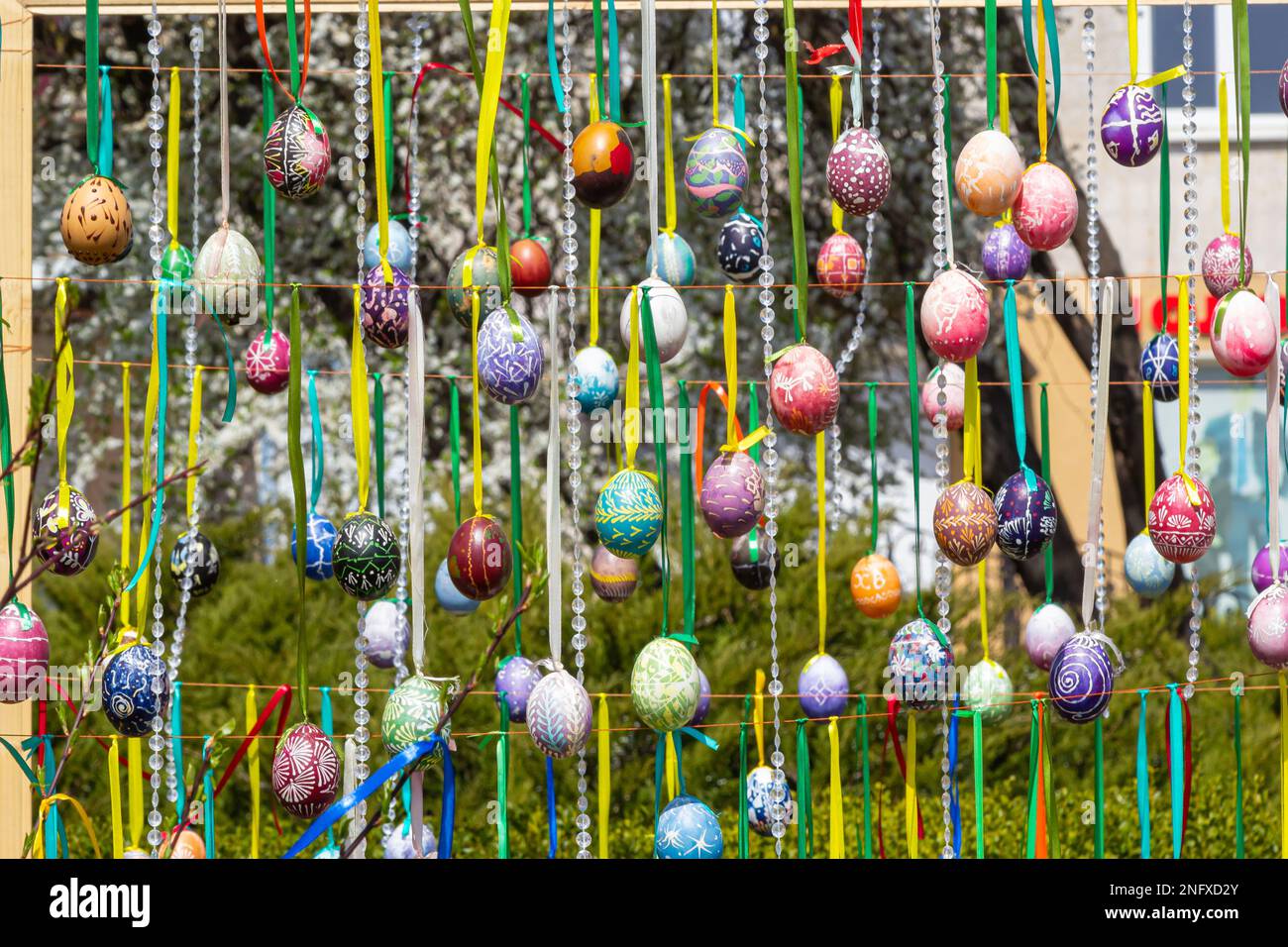 Painted eggs hang from the branches of the Easter tree. The focus is on